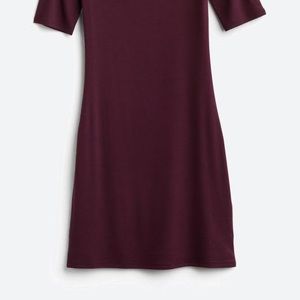 Nwt Goldray Xandra Ribbed Knit Dress 